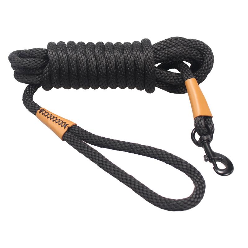 16ft Outdoor Training Pet Leash - Strong and Wear Resistant
