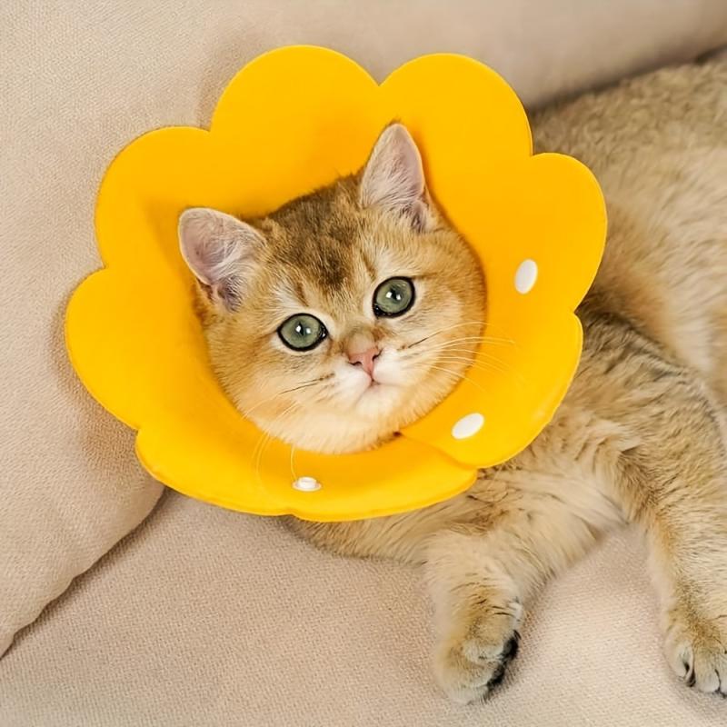 Anti Bite Sunflower Cat Collar - Protects from Scratches and Licking