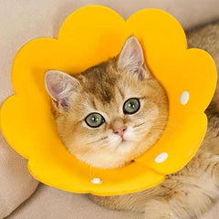 Anti Bite Sunflower Cat Collar - Protects from Scratches and Licking