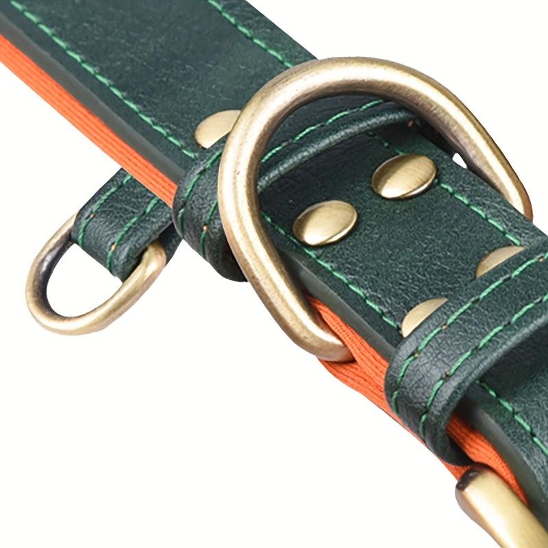 Personalized Leather Dog Collar with Engraved Name Plate