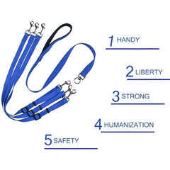 3 in 1 Nylon Dog Leash with Padded Handle for Outdoor Walking