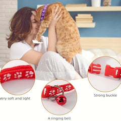 Small Dog Cat Leash Collar Set Adjustable Buckle Dog Collar