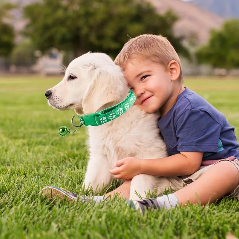 Small Dog Cat Leash Collar Set Adjustable Buckle Dog Collar