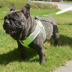 Soft Dog Harness And Leash Set Comfortable Breathable Mesh Dog Harness Vest