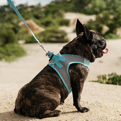Soft Dog Harness And Leash Set Comfortable Breathable Mesh Dog Harness Vest