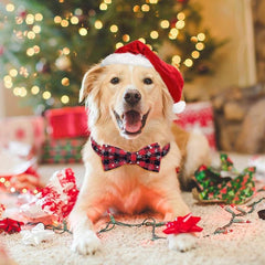 Christmas Dog Collar Plaid Snowflake Pattern Adjustable Bow Tie Collar