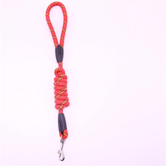 Small Dog Rope Leash Durable and Stylish Pet Accessories