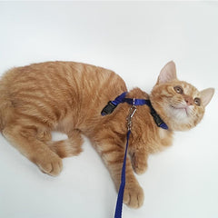 No Pull Cat Harness and Leash Set, Comfortable for Outdoor Walking