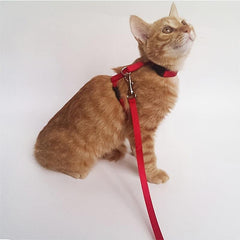 No Pull Cat Harness and Leash Set, Comfortable for Outdoor Walking