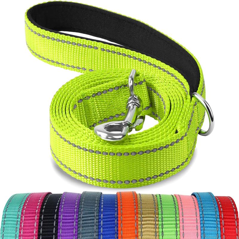 JOYTALE Reflective Pet Leash for Small and Medium Dogs