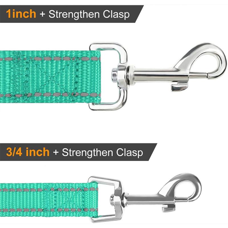 JOYTALE Reflective Pet Leash for Small and Medium Dogs