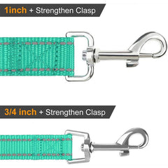 JOYTALE Reflective Pet Leash for Small and Medium Dogs