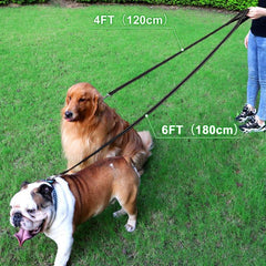JOYTALE Reflective Pet Leash for Small and Medium Dogs