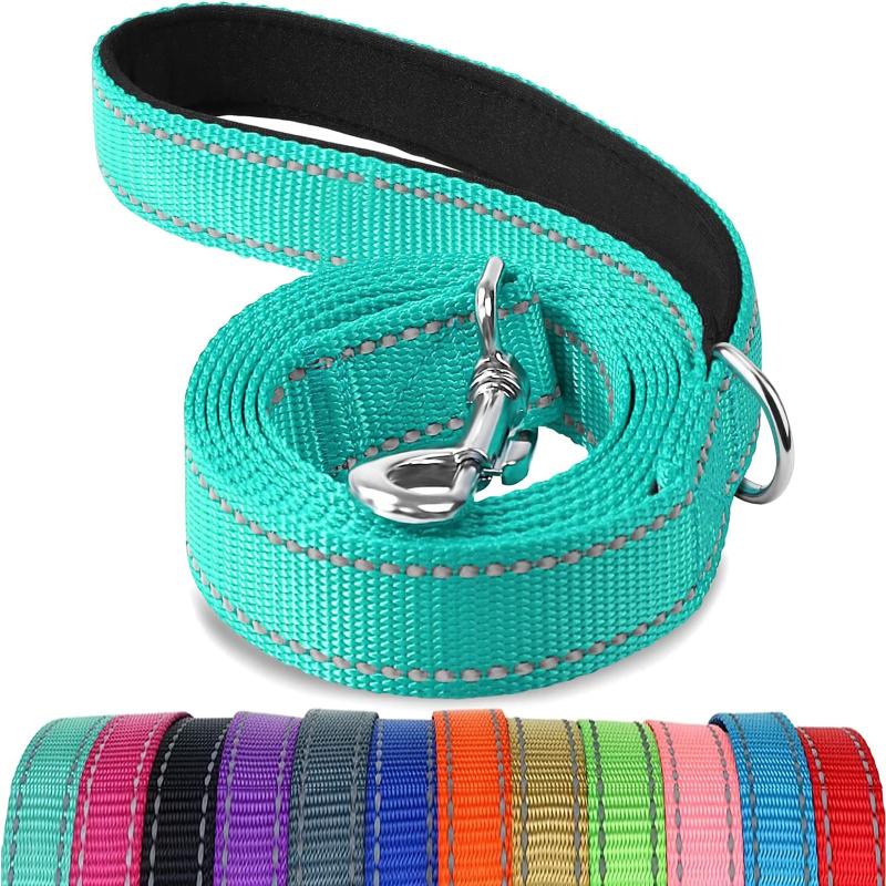 JOYTALE Reflective Pet Leash for Small and Medium Dogs