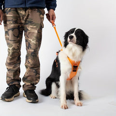 Adjustable Dog Harness & Retractable Leash Combo for Comfortable Walks