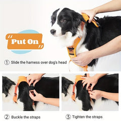 Adjustable Dog Harness & Retractable Leash Combo for Comfortable Walks