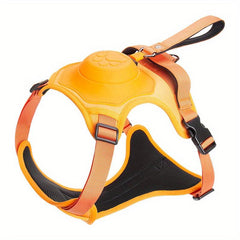 Adjustable Dog Harness & Retractable Leash Combo for Comfortable Walks