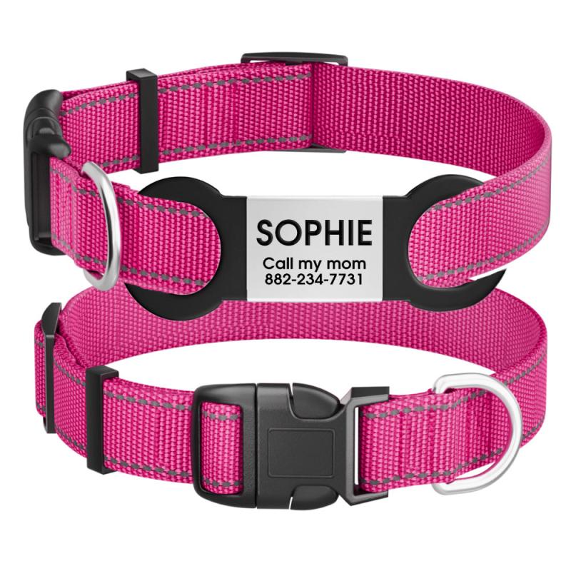 Custom Reflective Dog Collar with ID Tag