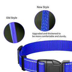 Custom Reflective Dog Collar with ID Tag