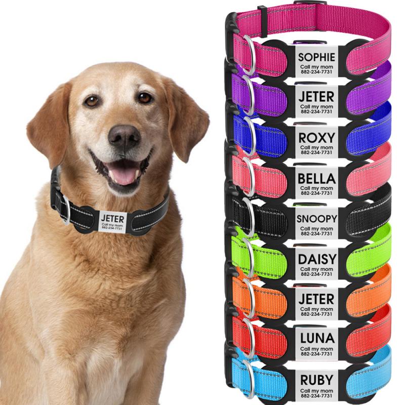 Custom Reflective Dog Collar with ID Tag