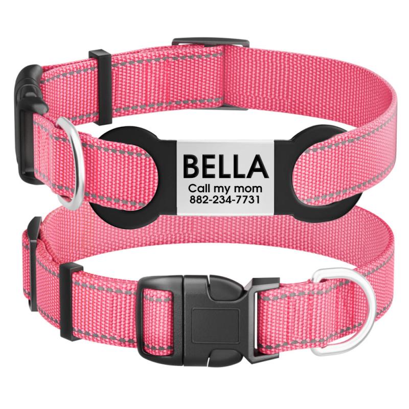 Custom Reflective Dog Collar with ID Tag
