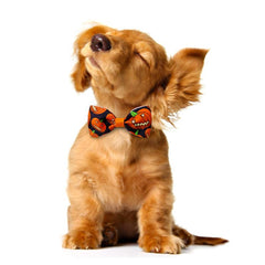 10pcs Adjustable Pet Bow Tie Halloween Costume for Dogs Cats