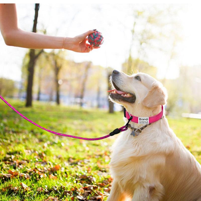 Personalized Reflective Dog Collar and Leash Set for Girl and Boy Dogs
