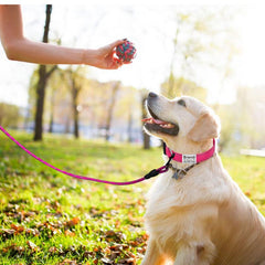 Personalized Reflective Dog Collar and Leash Set for Girl and Boy Dogs