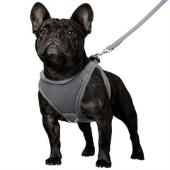 Reflective Dog Harness and Leash Set - Padded Nylon Leash and Mesh