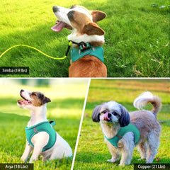 Reflective Dog Harness and Leash Set - Padded Nylon Leash and Mesh