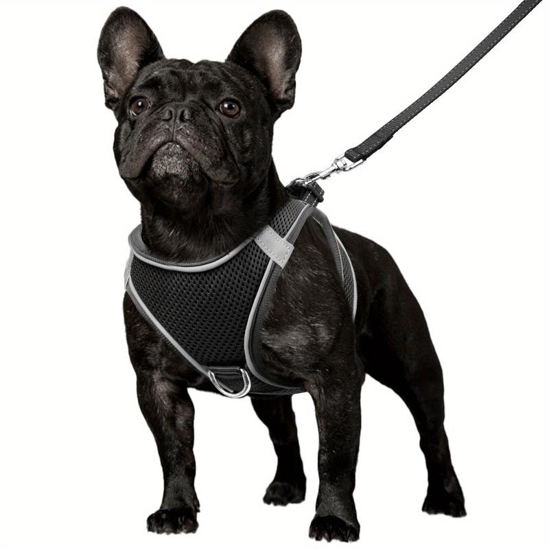 Reflective Dog Harness and Leash Set - Padded Nylon Leash and Mesh