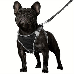 Reflective Dog Harness and Leash Set - Padded Nylon Leash and Mesh