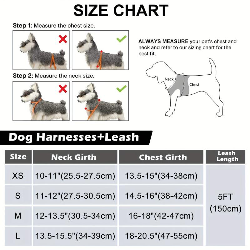 Reflective Dog Harness and Leash Set - Padded Nylon Leash and Mesh