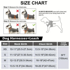 Reflective Dog Harness and Leash Set - Padded Nylon Leash and Mesh