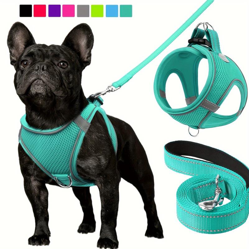 Reflective Dog Harness and Leash Set - Padded Nylon Leash and Mesh