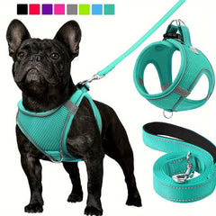 Reflective Dog Harness and Leash Set - Padded Nylon Leash and Mesh