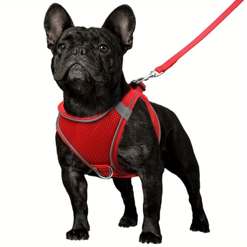 Reflective Dog Harness and Leash Set - Padded Nylon Leash and Mesh