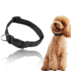 Adjustable Pet Collar for Dogs Comfortable and Secure Fit All Sizes