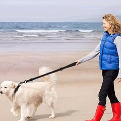 Reflective Dog Collar and Leash Set for Small Medium Large Dogs