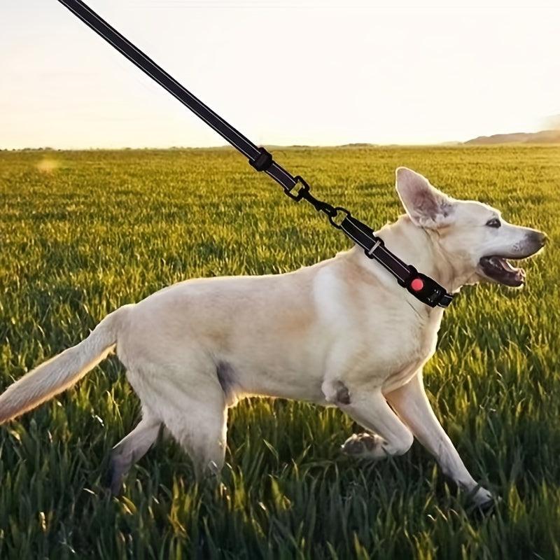 Reflective Dog Collar and Leash Set for Small Medium Large Dogs