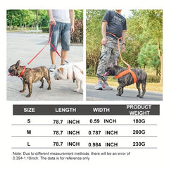 Nylon Double Leash for Puppies & Large Dogs