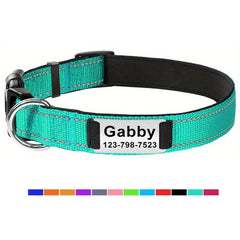 Reflective Dog Collar with Neoprene Padding - Adjustable Size