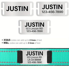 Reflective Dog Collar with Neoprene Padding - Adjustable Size