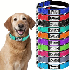 Reflective Dog Collar with Neoprene Padding - Adjustable Size
