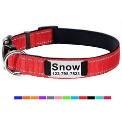 Reflective Dog Collar with Neoprene Padding - Adjustable Size