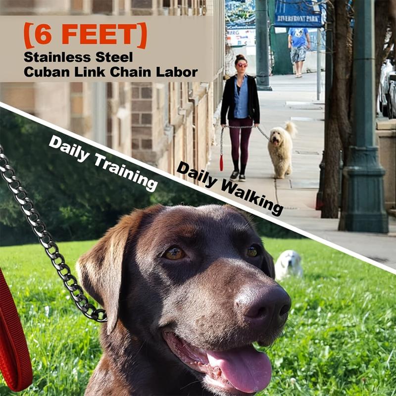Heavy Duty Leash for Large Dogs with Tag Set