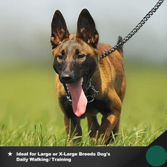 Heavy Duty Leash for Large Dogs with Tag Set