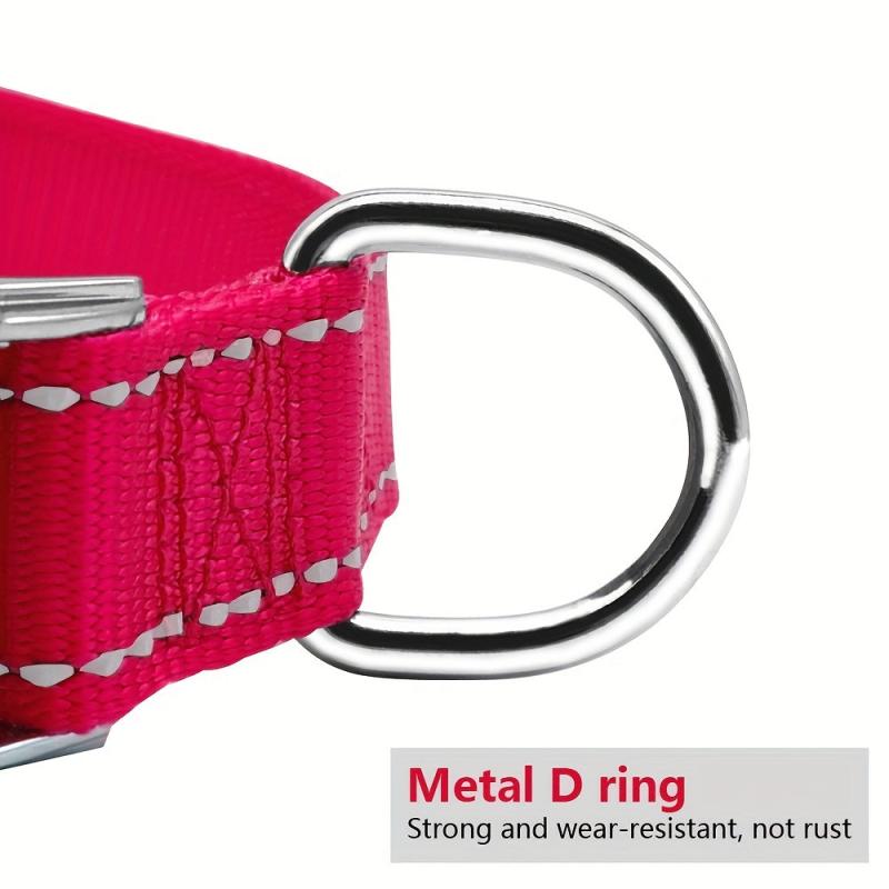 Custom Engraved Nylon Dog Collar with Metal Buckle