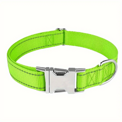 Custom Engraved Nylon Dog Collar with Metal Buckle