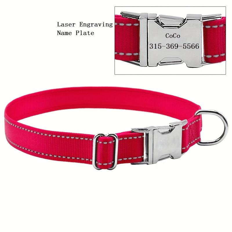 Custom Engraved Nylon Dog Collar with Metal Buckle